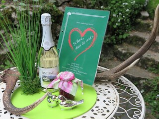 Appartement de vacances Aschau im Chiemgau Enregistrement extérieur 13