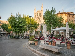Villa Sóller Environment 41