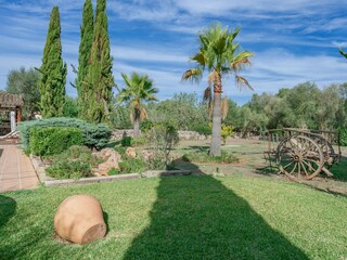 Tenuta Sencelles Registrazione all'aperto 9