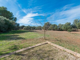 Finca Sencelles Buitenaudio-opname 26