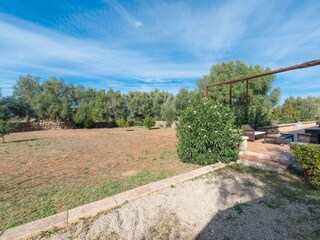 Finca Sencelles Buitenaudio-opname 27