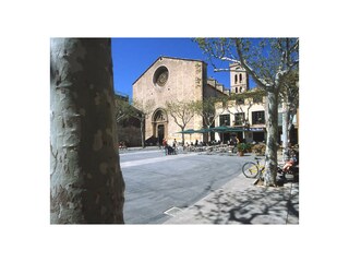 Appartamento per vacanze Pollensa Ambiente 15