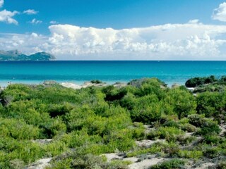 Apartment Alcudia Umgebung 17