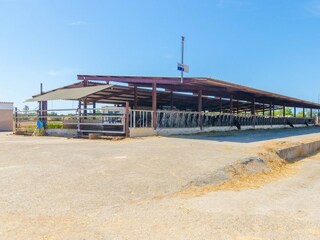 Appartement de vacances Campos Enregistrement extérieur 23