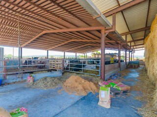 Vakantieappartement Campos Buitenaudio-opname 24