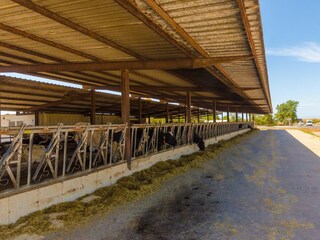 Appartement de vacances Campos Enregistrement extérieur 25