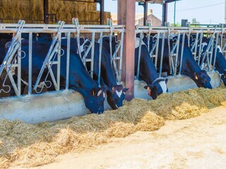 Ferienwohnung Campos Außenaufnahme 26