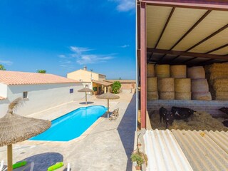 Appartamento per vacanze Campos Registrazione all'aperto 1