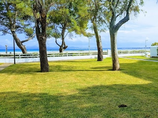 Vakantieappartement Alcudia  24