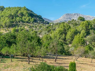 Apartamento de vacaciones Mancor de la Vall Grabación al aire libre 4