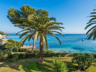 Appartamento Alcudia Ambiente 11