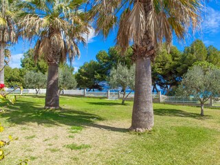 Apartamento de vacaciones Alcudia Entorno 20