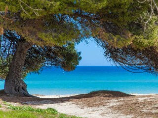 Apartamento de vacaciones Alcudia Entorno 21