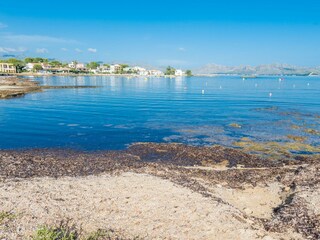 Vakantieappartement Alcudia Omgeving 33