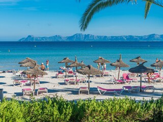 Appartamento per vacanze Alcudia Ambiente 41