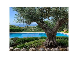 Villa Les Issambres Registrazione all'aperto 6