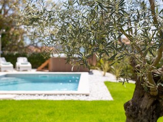 Villa Vrh Buitenaudio-opname 9