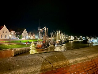 Vakantiehuis Greetsiel Omgeving 24