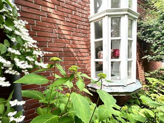 Vakantiehuis Greetsiel Buitenaudio-opname 15