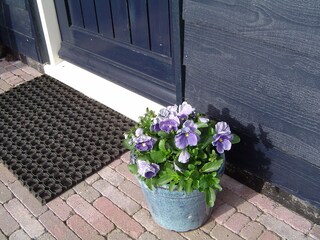 Fattoria Oosterend Registrazione all'aperto 3