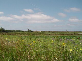 Appartamento Den Burg Ambiente 13