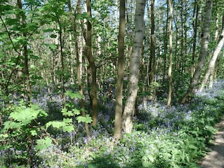 Fattoria Den Burg Ambiente 17
