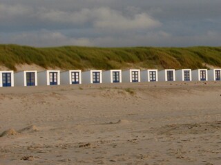 Fattoria Den Burg Ambiente 18