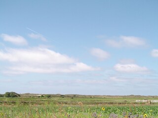 Fattoria Den Burg Ambiente 19