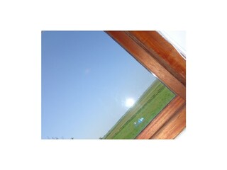 Fattoria Den Burg Registrazione all'aperto 3