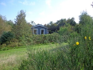 Chalet Akkerveld (45) im Ferienpark - Den Burg - image1