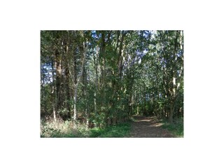 Chalet Den Burg Ambiente 15