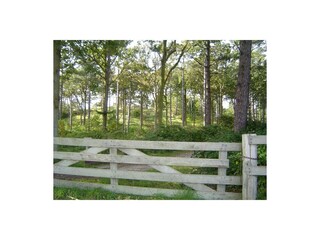 Bungalow De Koog Ambiente 14