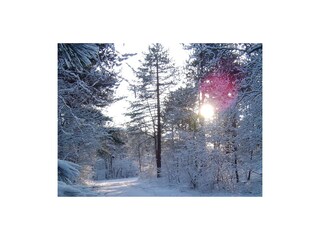 Bungalow De Koog Ambiente 16