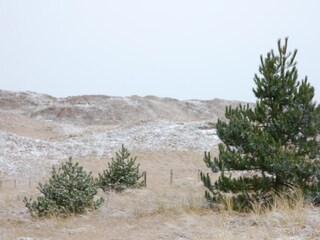 Bungalow De Koog Ambiente 17