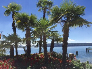 Appartamento per vacanze Bodman-Ludwigshafen Ambiente 28