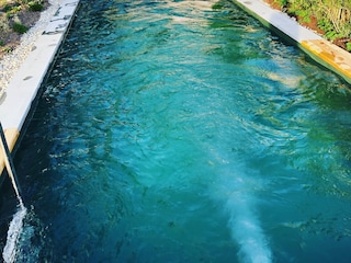 Pool mit Gegenstromanlage und Massagedüsen Bodensee Apa