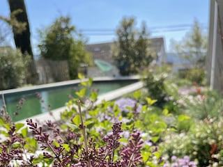 Naturpool im Garten Bodensee-Apartment SeeArt