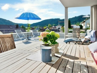 Terrasse - eingefriedet 60 qm BodenseeApartment SeeArt