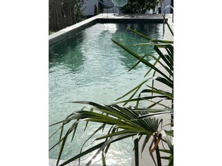 Pool mit PalmeBodensee Apartments SeeArt