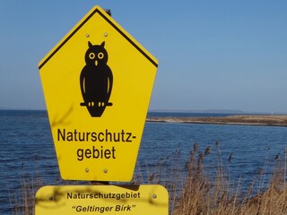 Appartamento per vacanze Kronsgaard Ambiente 13