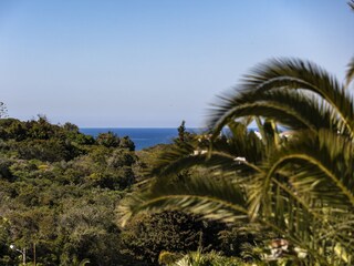 Reihenhaus Carvoeiro Umgebung 37