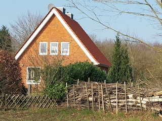 Benjeshecke an der Grundstücksgrenze zur Straße