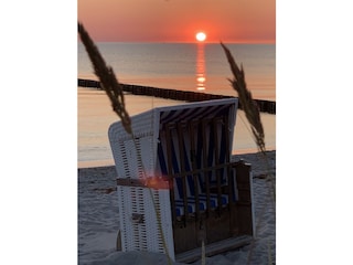 Ferienhaus Saal in Vorpommern Umgebung 21