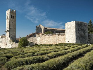 Villa Sveti Lovrec Ambiente 40