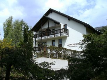 Apartment Urlaub u. Erholung in Titisee Hochschwarzwald