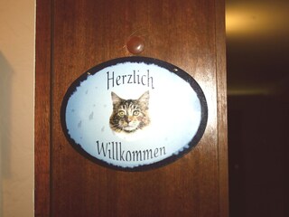 Apartamento de vacaciones Hahnenklee Características 17