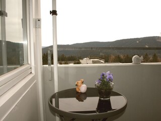 Apartamento de vacaciones Hahnenklee Características 18