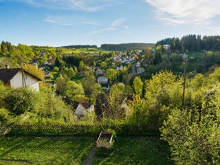 Aussicht vom Balkon in Tanne & Tal Relax