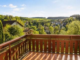 Aussicht vom Balkon in Tanne & Tal Relax