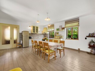 Villa Tinjan Caratteristiche 13